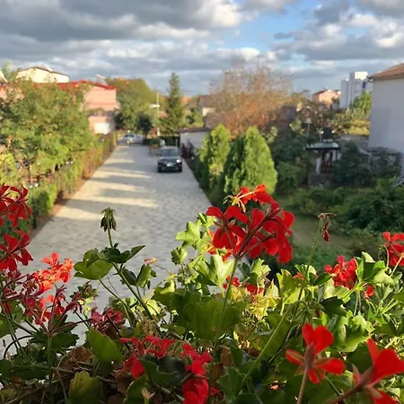 Hotel Eden Blue Costineşti